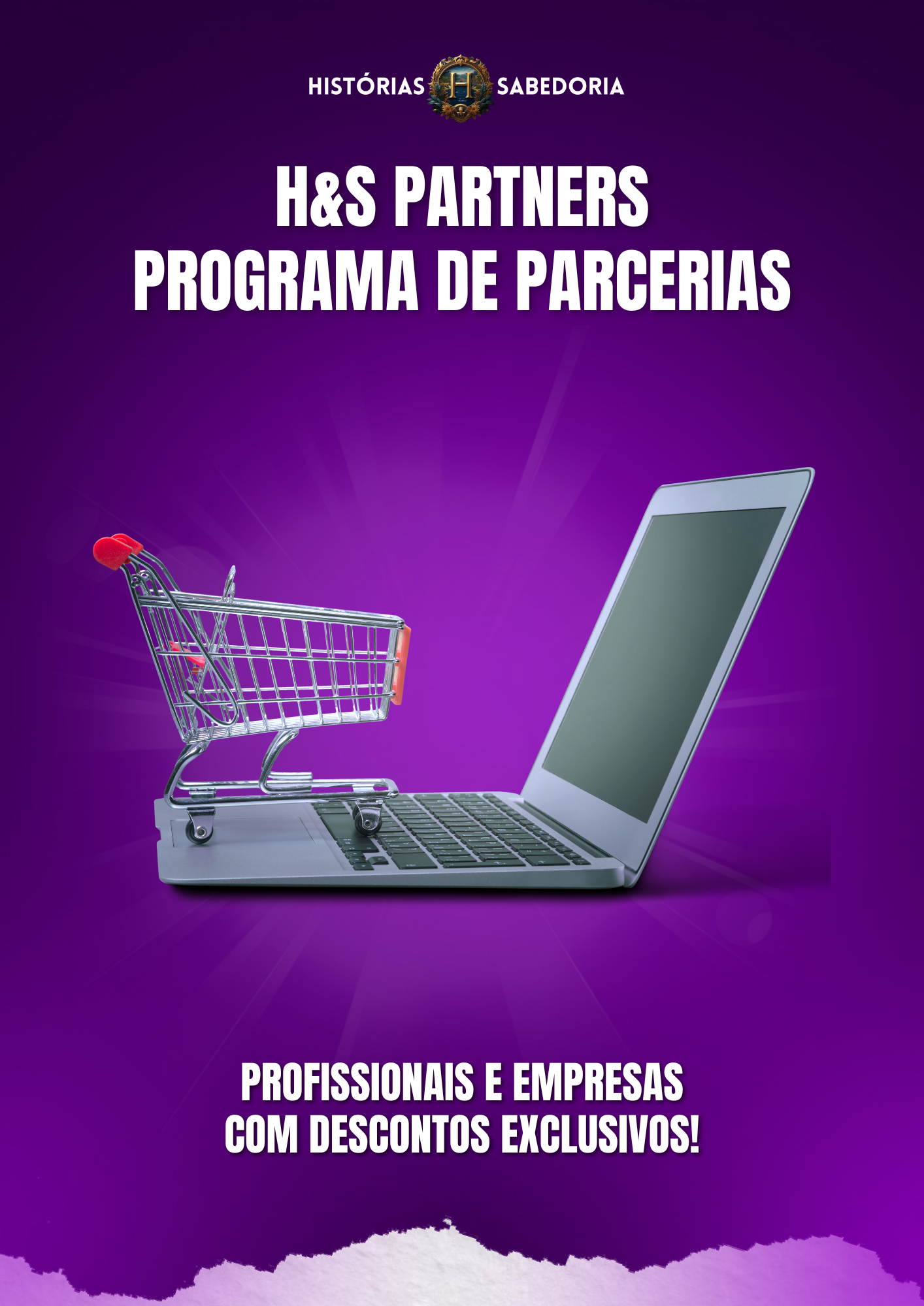 HS PARTNER
